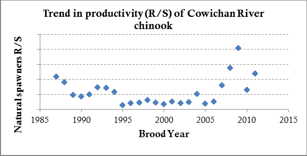 Figure 11: Trend in productivity (R/S) of Cowichan River chinook.
