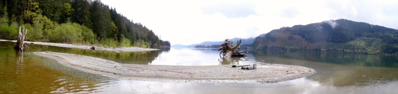 Shoreline habitat.