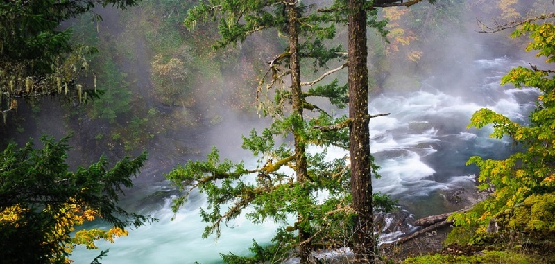 The Cowichan River