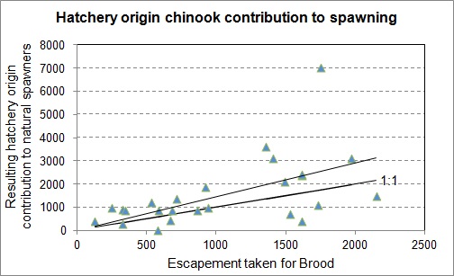 Figure 13: Results of Enhancement of Cowichan Chinook.