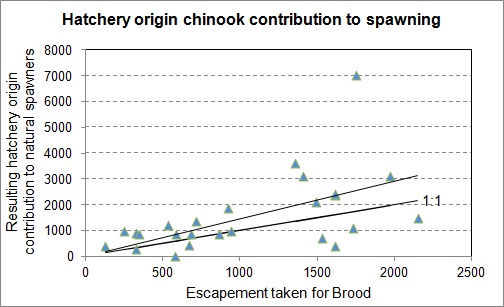 Figure 13: Results of Enhancement of Cowichan Chinook.